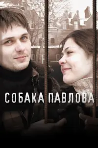  Собака Павлова 