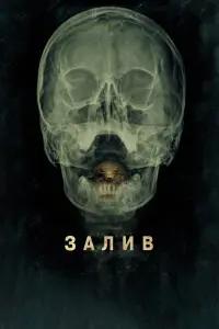  Залив 