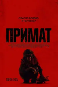  Примат 